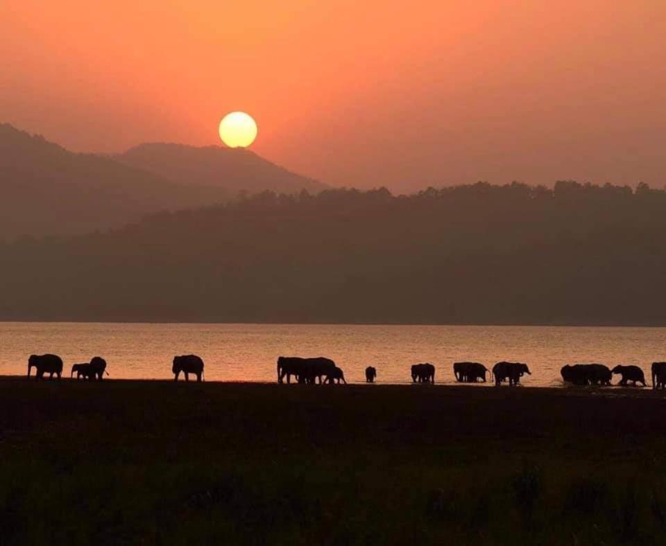 Wild Lake Side Удавалаве Экстерьер фото