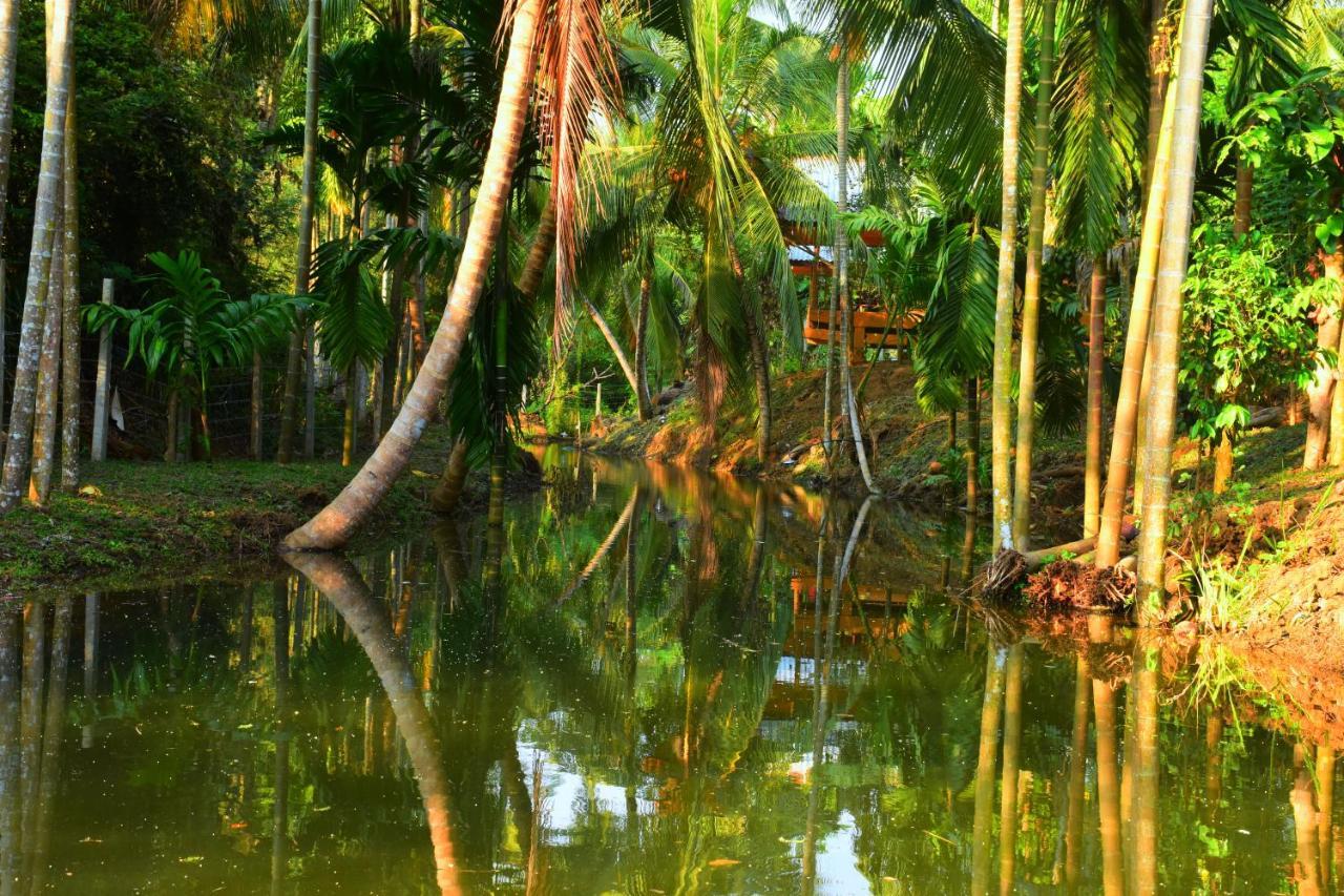 Wild Lake Side Удавалаве Экстерьер фото